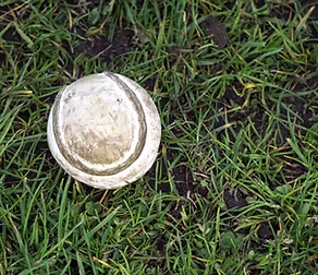 GAA