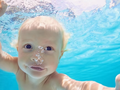 Dolphin Swim School