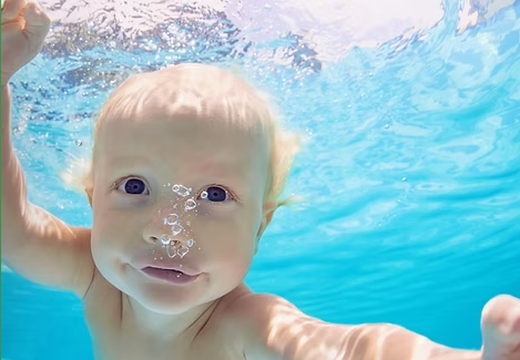 Dolphin Swim School