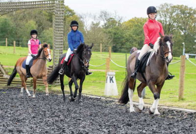 Kellystown Riding School