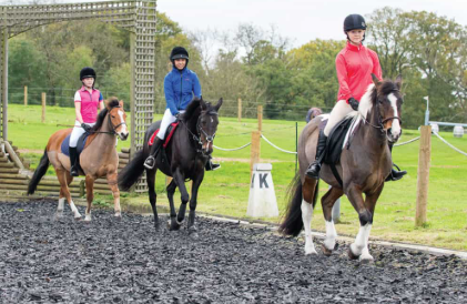 Kellystown Riding School