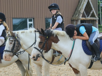 Balcultry Stables