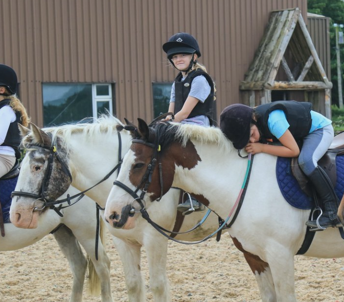 Balcultry Stables