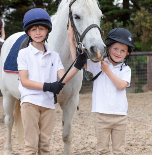 Carrickmines Equestrian Centre