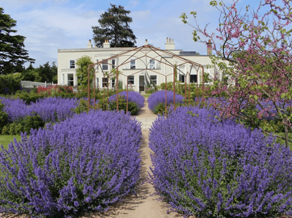 Airfield House & Gardens
