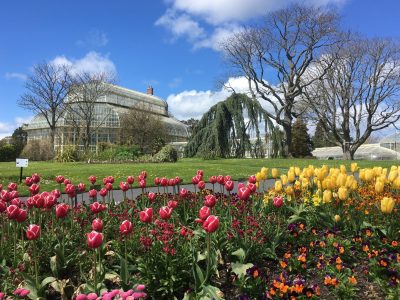 The National Botanic Gardens