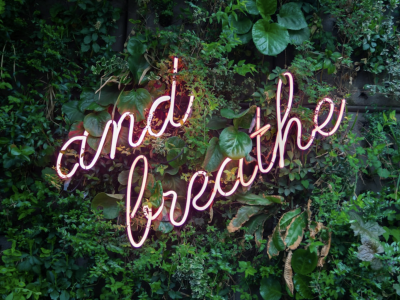 Wellbeing