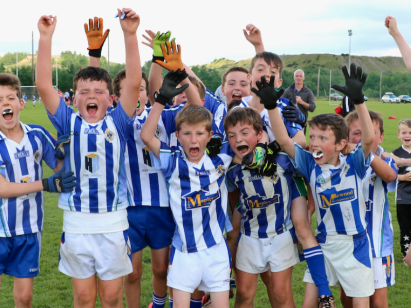 Ballyboden St. Enda's