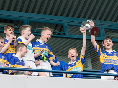 Castleknock Hurling and Football Club