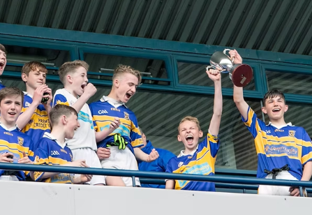Castleknock Hurling and Football Club