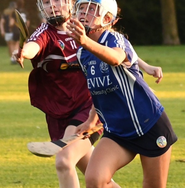 Crumlin GAA Club