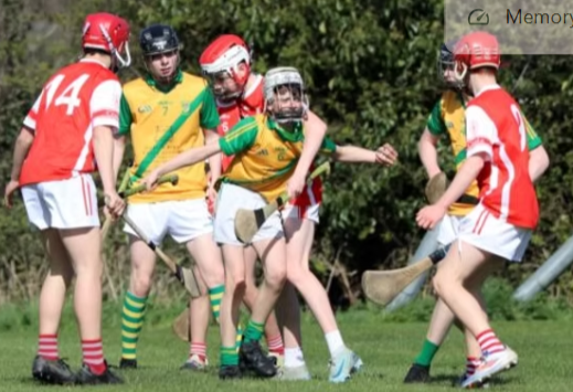 Faughs GAA