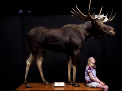 The Natural History Museum