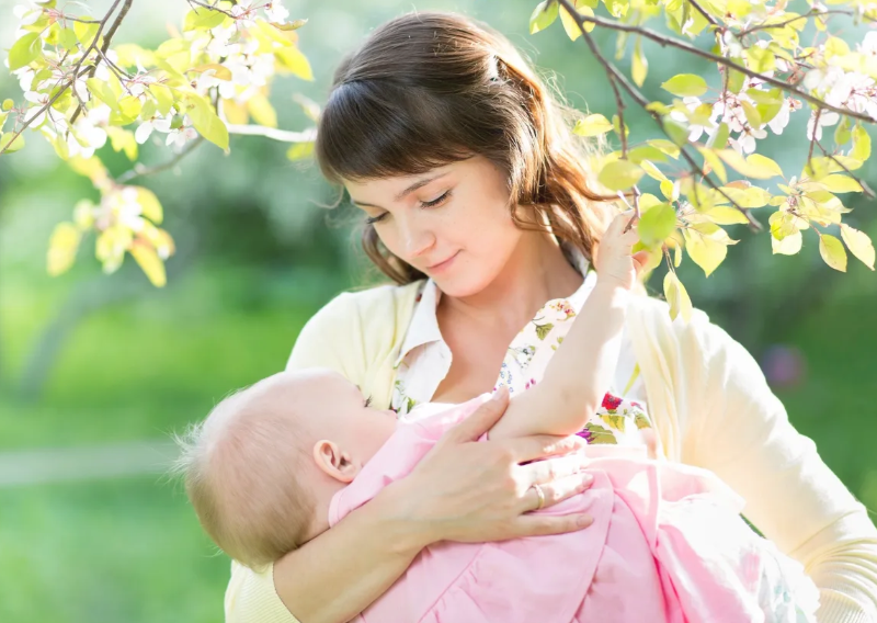Mindful Roots Counselling